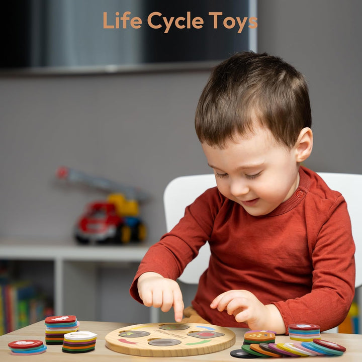 Woodtoe - Juguetes de ciclo de vida, 12 temas Montessori Science To...