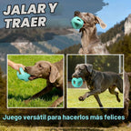 Fida Pelotas de Goma Natural para Perros Masticadores Agresivos, Juguetes Duraderos para Masticar para Perros Grandes, Juguetes Interactivos de Buscar y Tirar para Razas Medianas y Grandes No Tóxicos