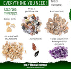 Kit de geología para adultos: rocas, minerales, fósiles, cristales y dientes de tiburón