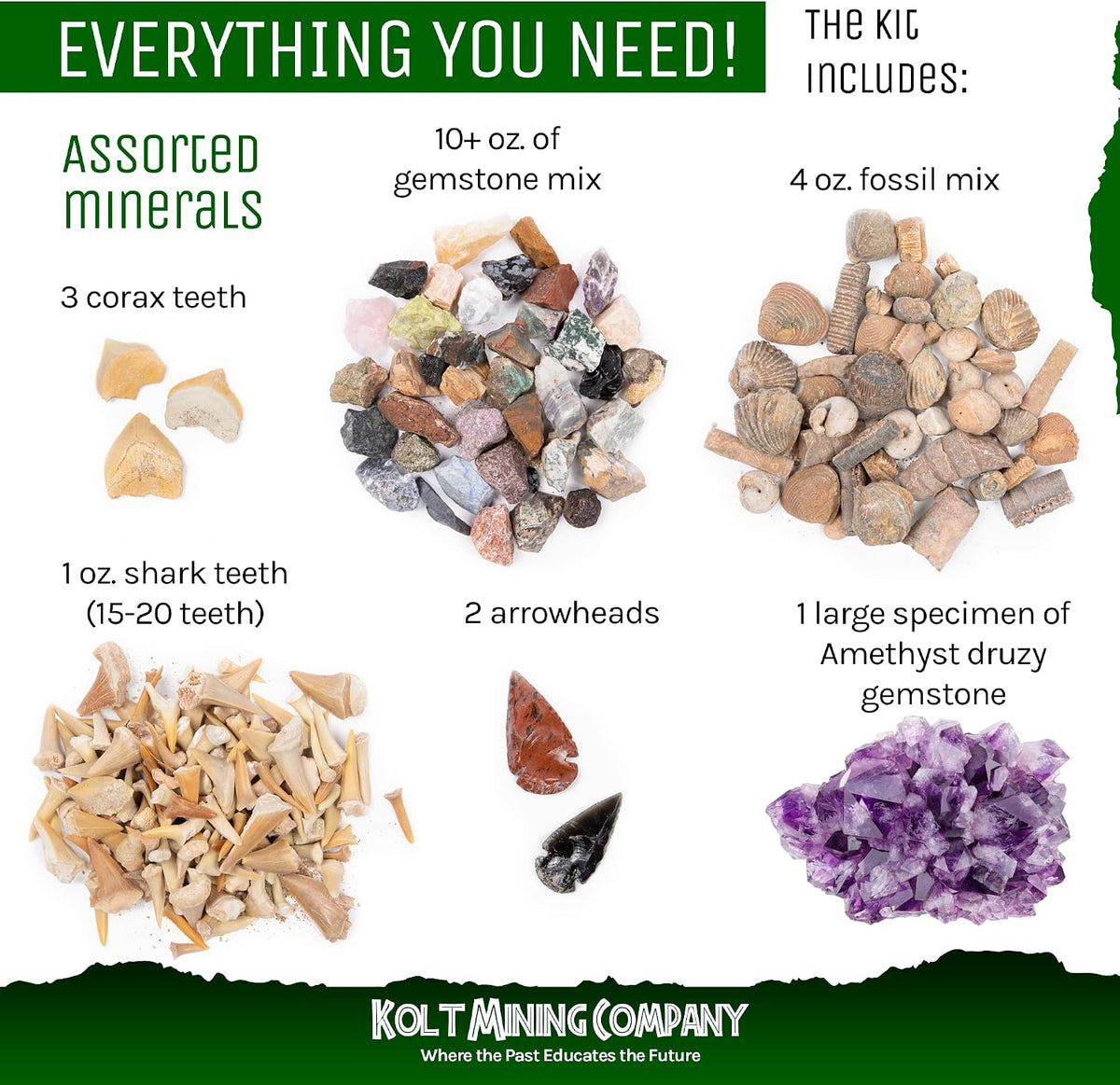 Kit de geología para adultos: rocas, minerales, fósiles, cristales y dientes de tiburón