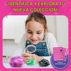 Barbie Rock Collection Box con 200 Rocks, Minerals, Crystals, y Geode