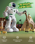 Ruko Robot verde 1088 y cargador USB C PD65W