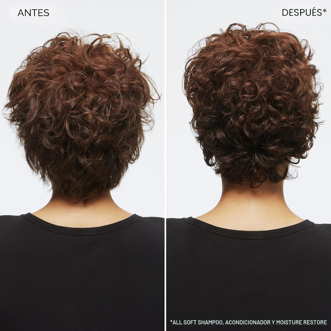 Redken All Soft Shampoo - Hidrata y nutre el cabello seco y quebrad...