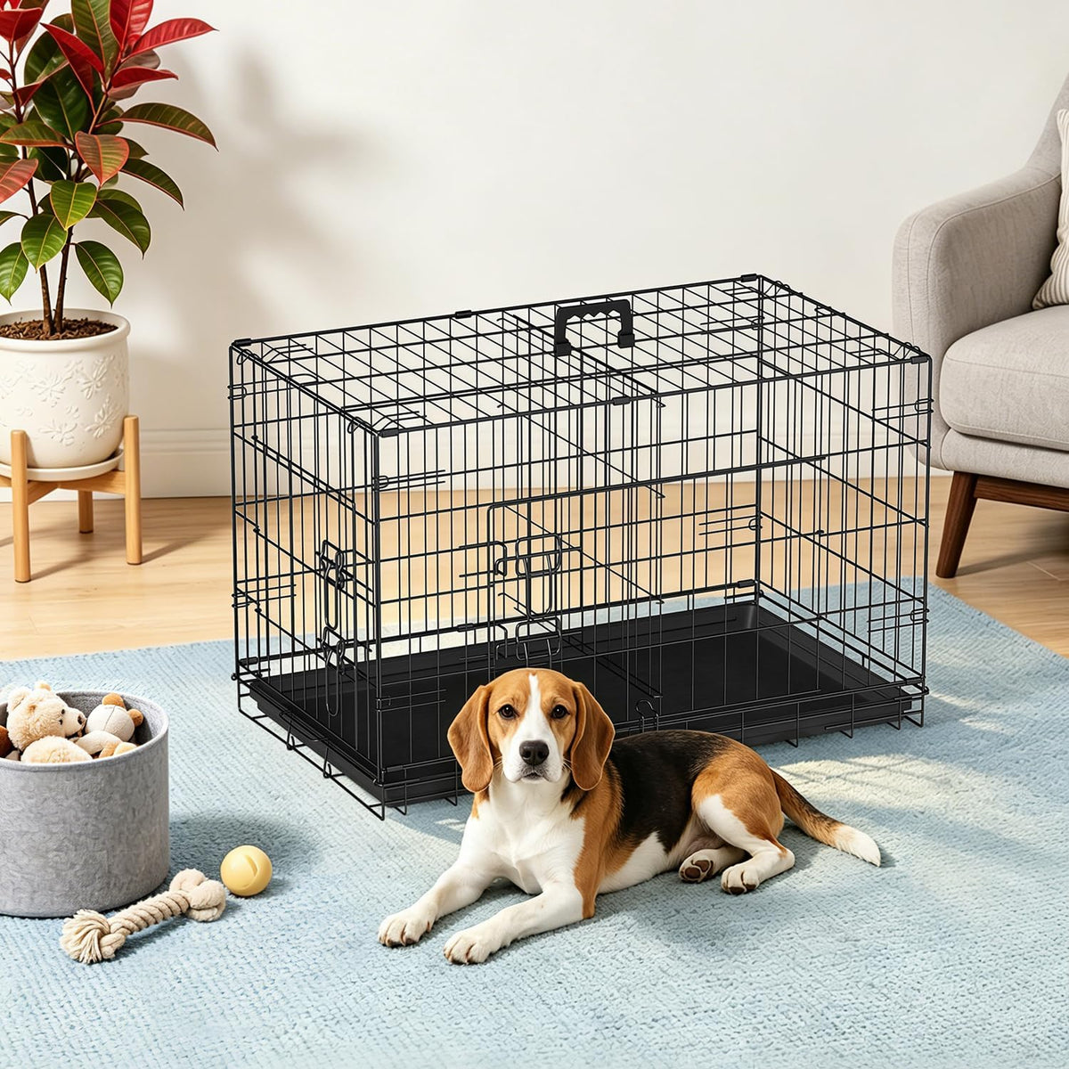 FDW Jaula de metal plegable para perros de 30 pulgadas | Negro | Jaula para