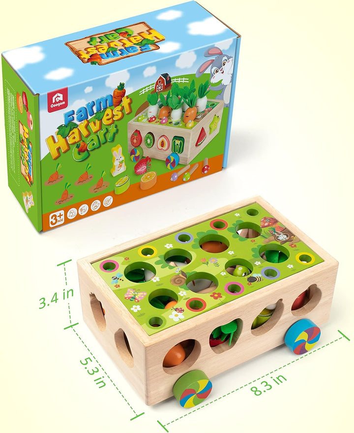 Coogam Montessori - Juguetes de motricidad fina para bebé pequeño,...