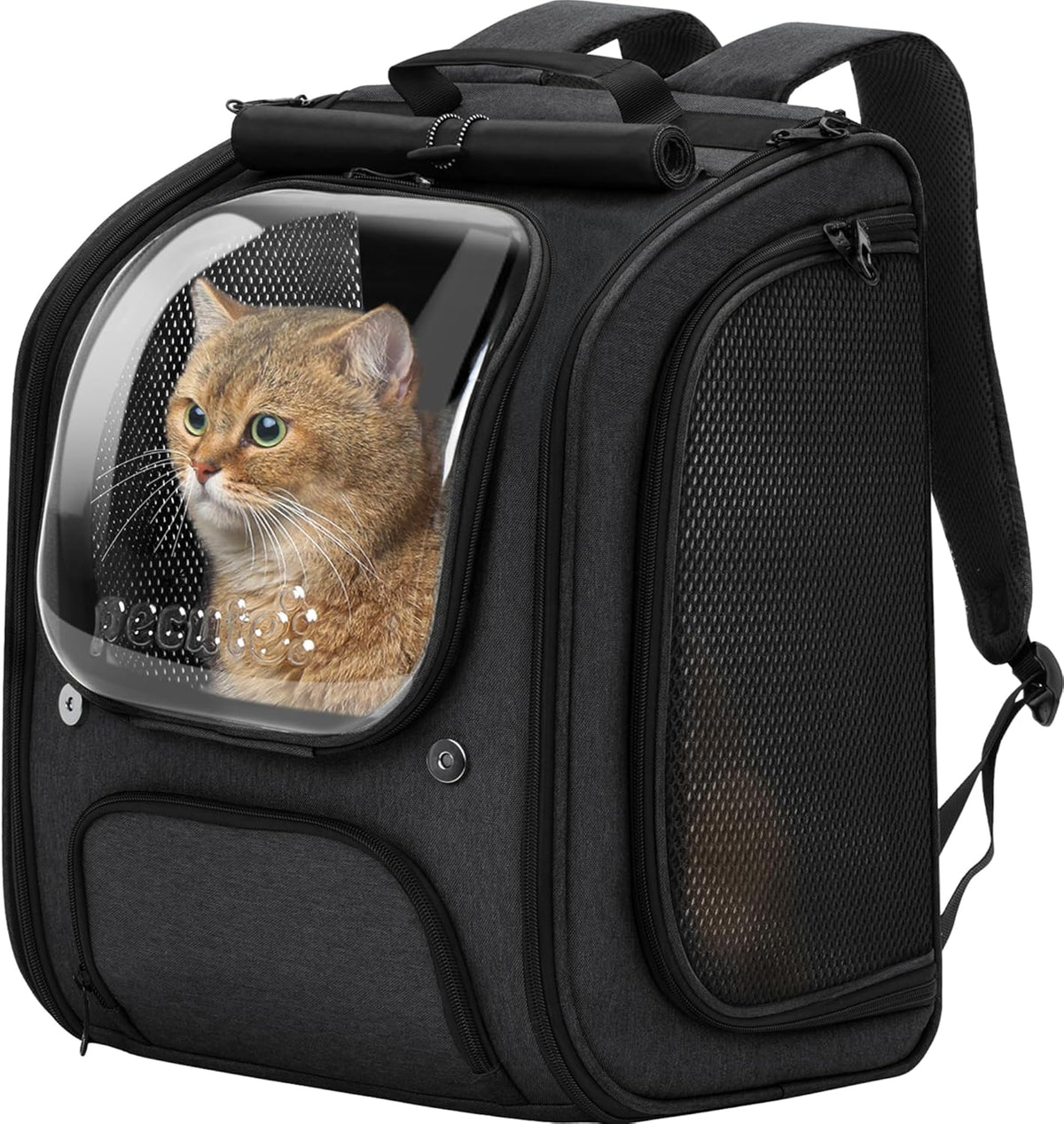 Pecute - Mochila para gatos, mochila de burbujas para gatos de gran espacio