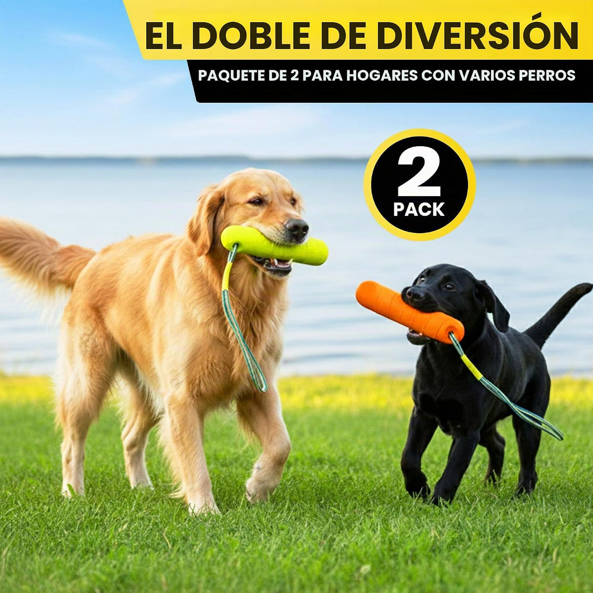 Juguetes acuáticos flotantes para perros, paquete de 2, palo de