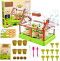 Kit de cultivo de plantas para niños, juego de terrario de invernadero, educativo, ciencia, bricolaje, jardín, invernadero, con panel solar, kit de jardinería interior