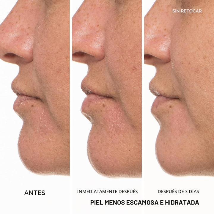 innisfree Té Verde Ceramida Leche, Tónico Lechoso Hidratante y Lige...