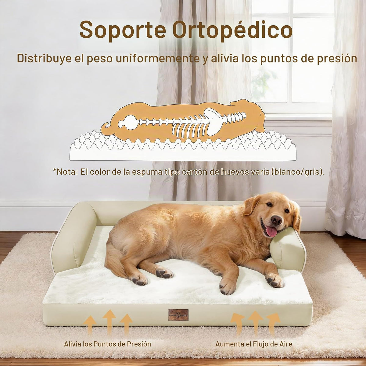 Comfort Expression Cama lavable con cojín para perros medianos a grandes