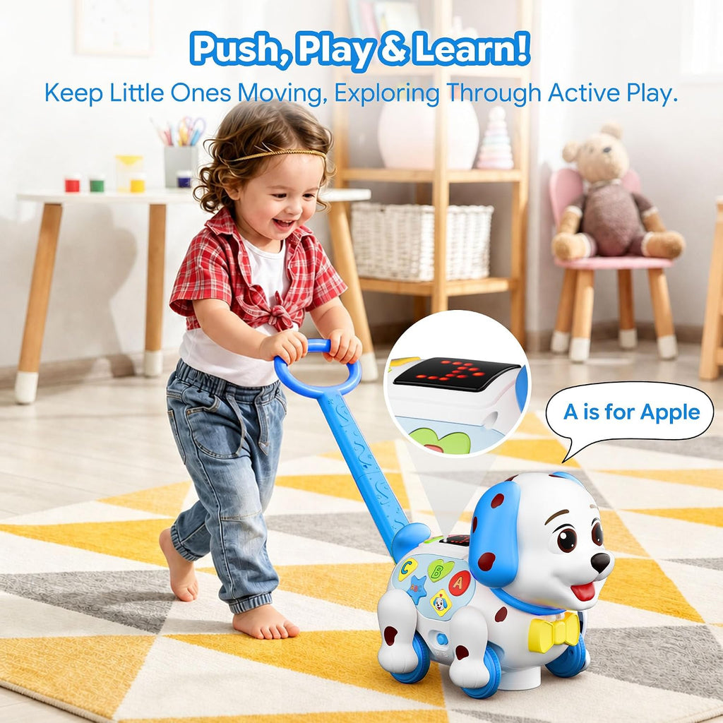 Juguete interactivo para cachorros de 1 a 2 años, regalo de primer