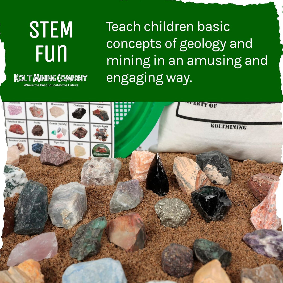 Kit de geología para adultos: rocas, minerales, fósiles, cristales y dientes de tiburón