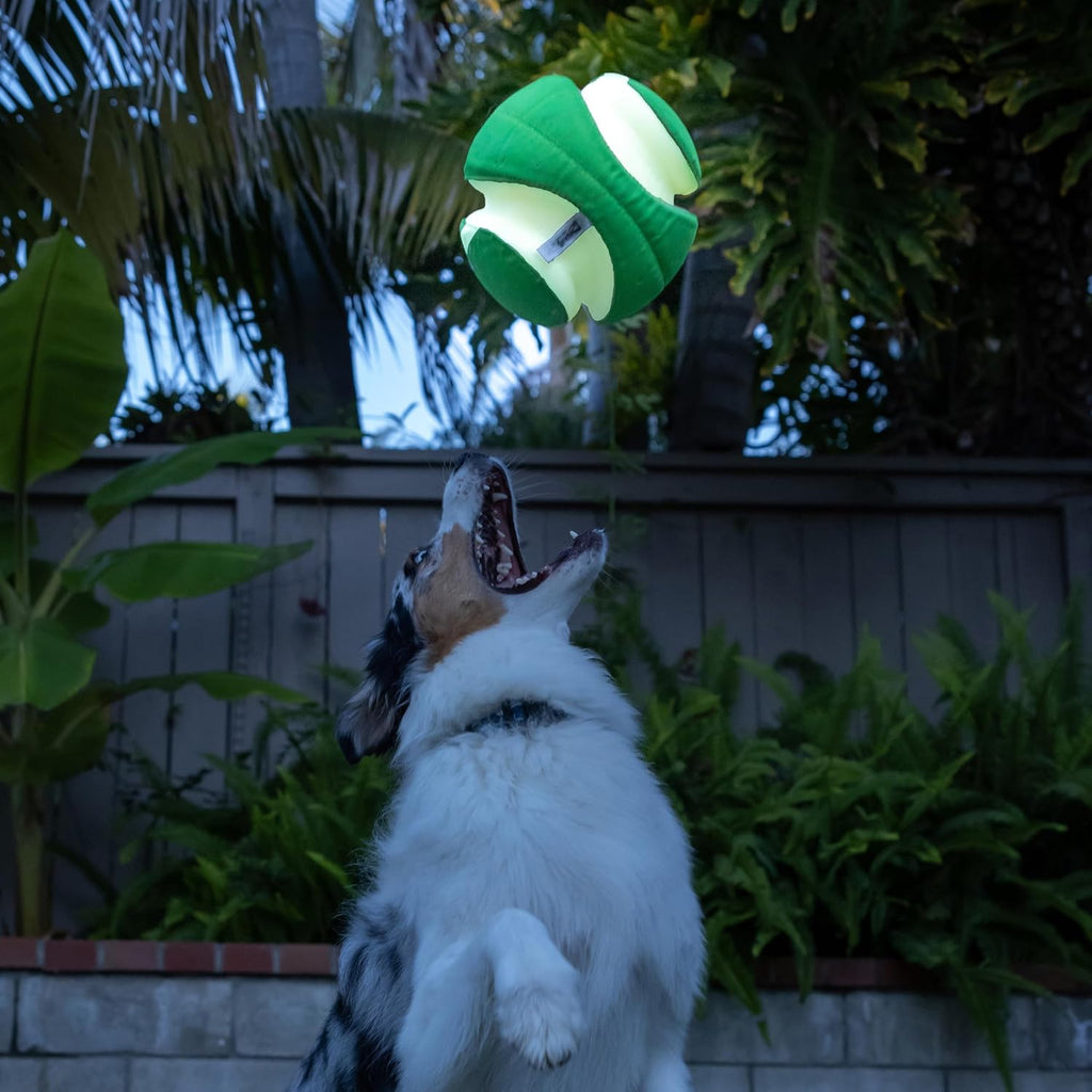 Pelota de Chuckit! Kick Fetch Max Glow, Grande (20 cm) Juguete para Perros que Brilla en la Oscuridad