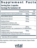 Vital Nutrients Apoyo suprarrenal | Suplementos de apoyo suprarrena...