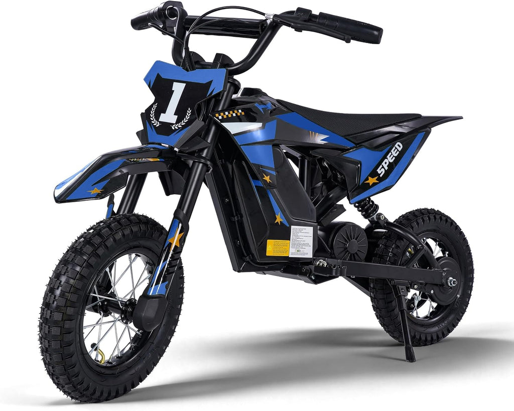 Bicicleta de cross eléctrica de 36 V para niños de 5 a 10 años, regalo de