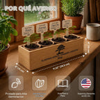 Bonsai Tree Kit Classic - Growing 4 Unique Japanese Bonzai Trees