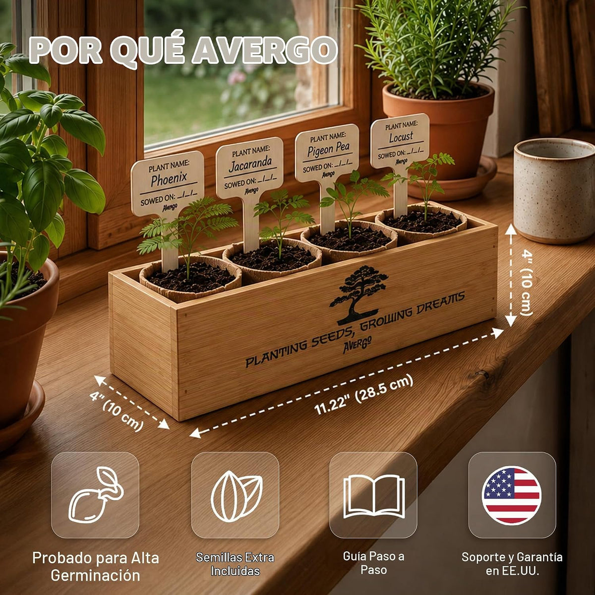 Bonsai Tree Kit Classic - Growing 4 Unique Japanese Bonzai Trees