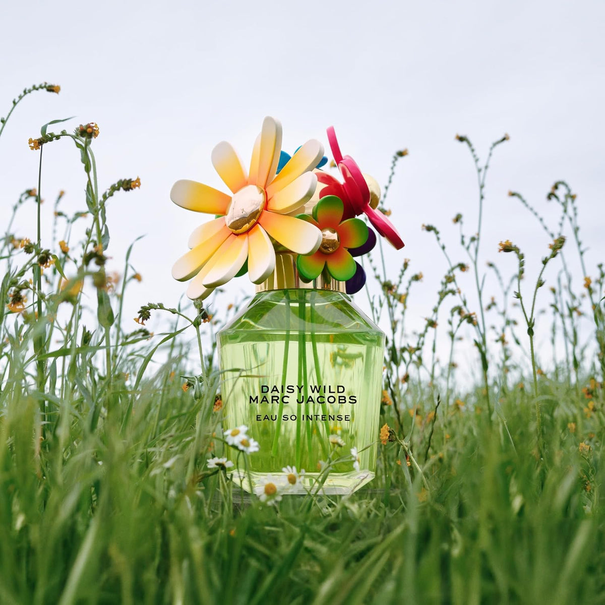 Marc Jacobs Daisy Wild Intense Eau de Parfum - Adventurous Floral W...