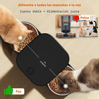 HoneyGuaridan Alimentador automático para gatos para 2 gatos, control de