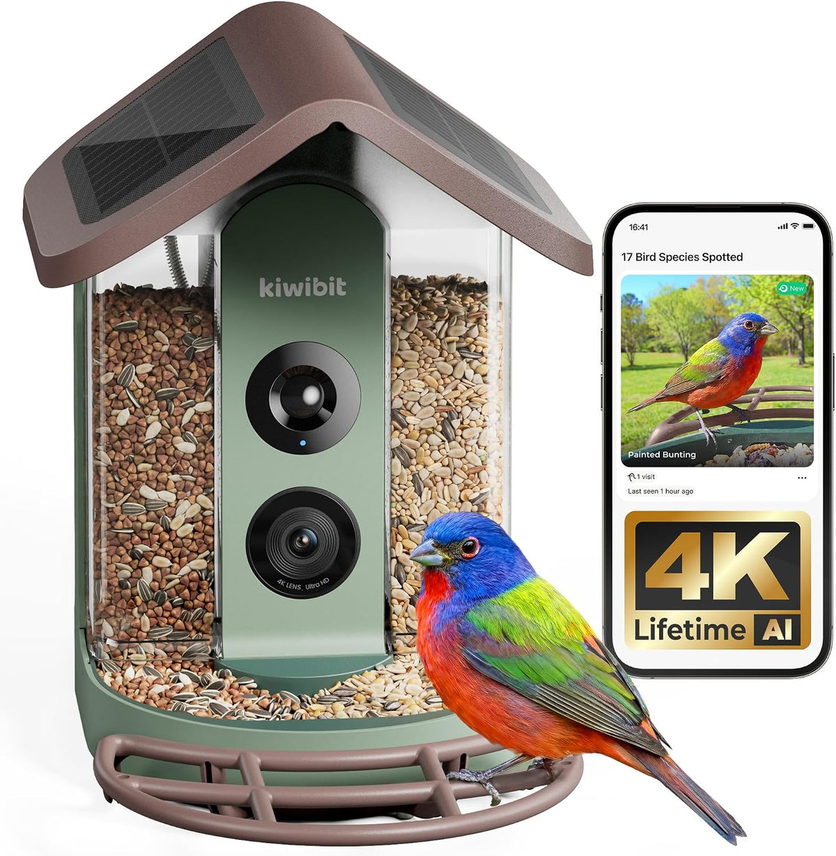 Alimentador solar inteligente para pájaros con cámara