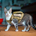 AIWAI Arnés para gatos y correa para caminar, a prueba de escapes, chaleco suave y ajustable para gatos, fácil de controlar, malla suave transpirable con asa de control para gatos grandes, perros pequeños, regalo con parche
