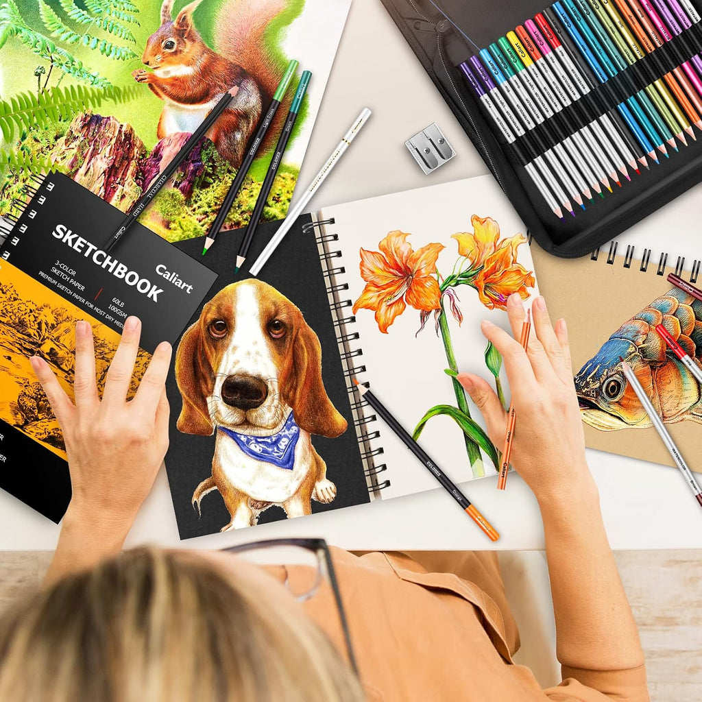 Caliart Kit de bocetos de 176 piezas, 100 hojas de 3 colores