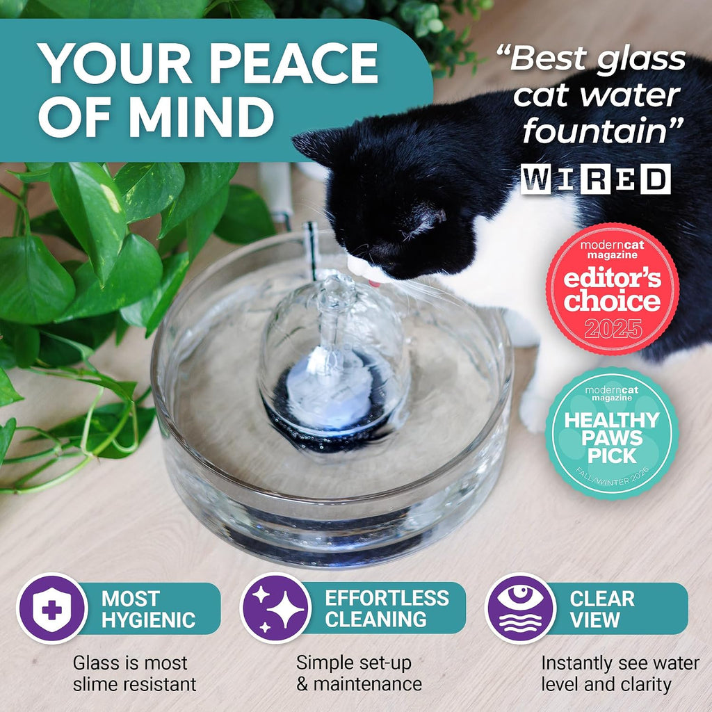 Fuente de Agua para Gatos Brook de Vidrio 90 oz – Fuente para Mascotas y Perros, Apta para Lavavajillas