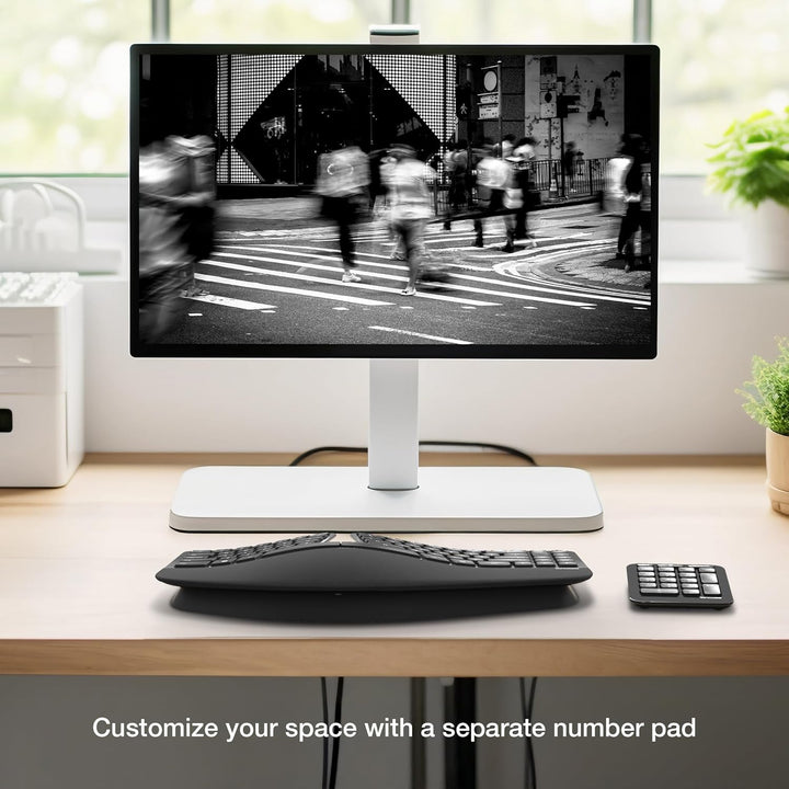 Incase Sculpt Teclado Ergonómico Diseñado por Microsoft