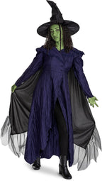Disguise Wicked Elphaba - Disfraz de lujo para adultos, con licencia oficial para un buen disfraz de mujer