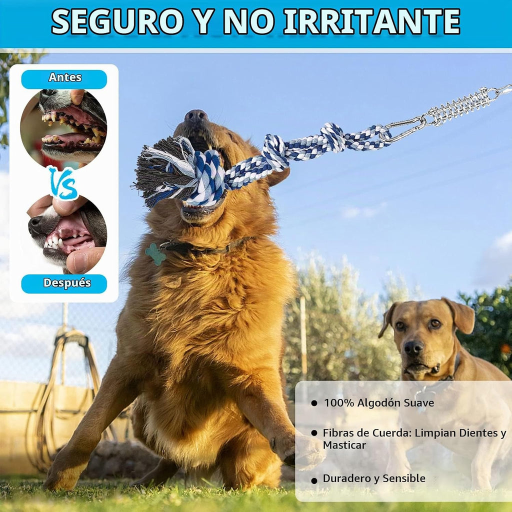 TRSMIMA - Juguetes de cuerda de poste de resorte para perros resistentes
