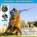 TRSMIMA - Juguetes de cuerda de poste de resorte para perros resistentes