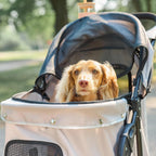 Carlson Pet Products Stroller, Incluye Rueda Delantera Giratoria de 360 Grados, Frenos en las Ruedas Traseras, ribete Reflectante, Paneles de Malla, Paraguas y Cabina de Malla, Caqui