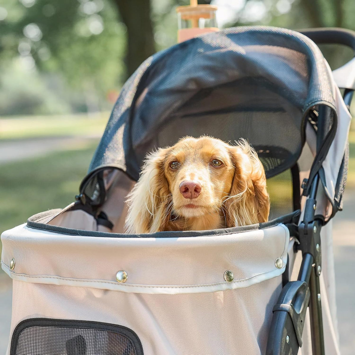 Carlson Pet Products Stroller, Incluye Rueda Delantera Giratoria de 360 Grados, Frenos en las Ruedas Traseras, ribete Reflectante, Paneles de Malla, Paraguas y Cabina de Malla, Caqui