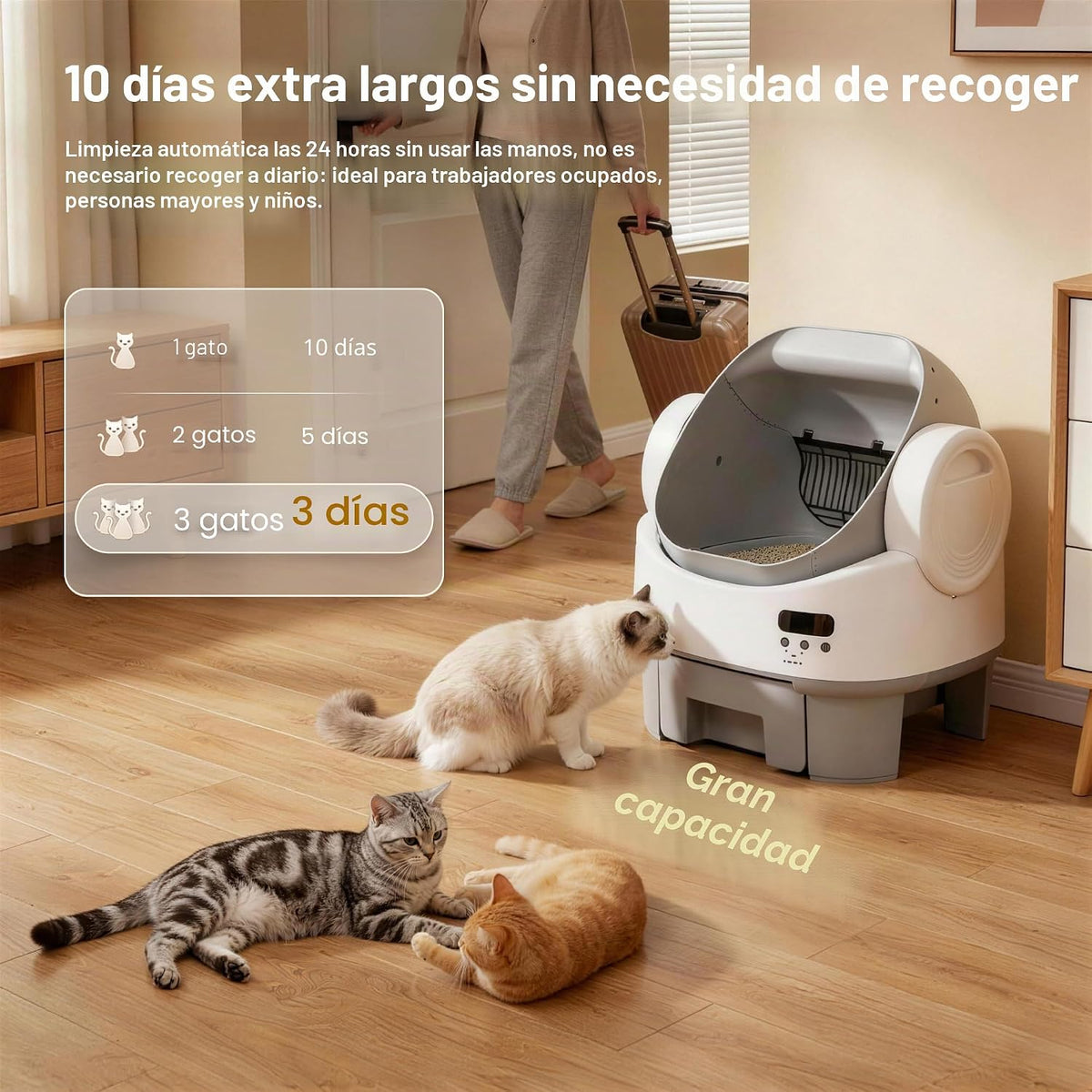 WARCAT Caja de arena automática, parte superior abierta, cerradura para