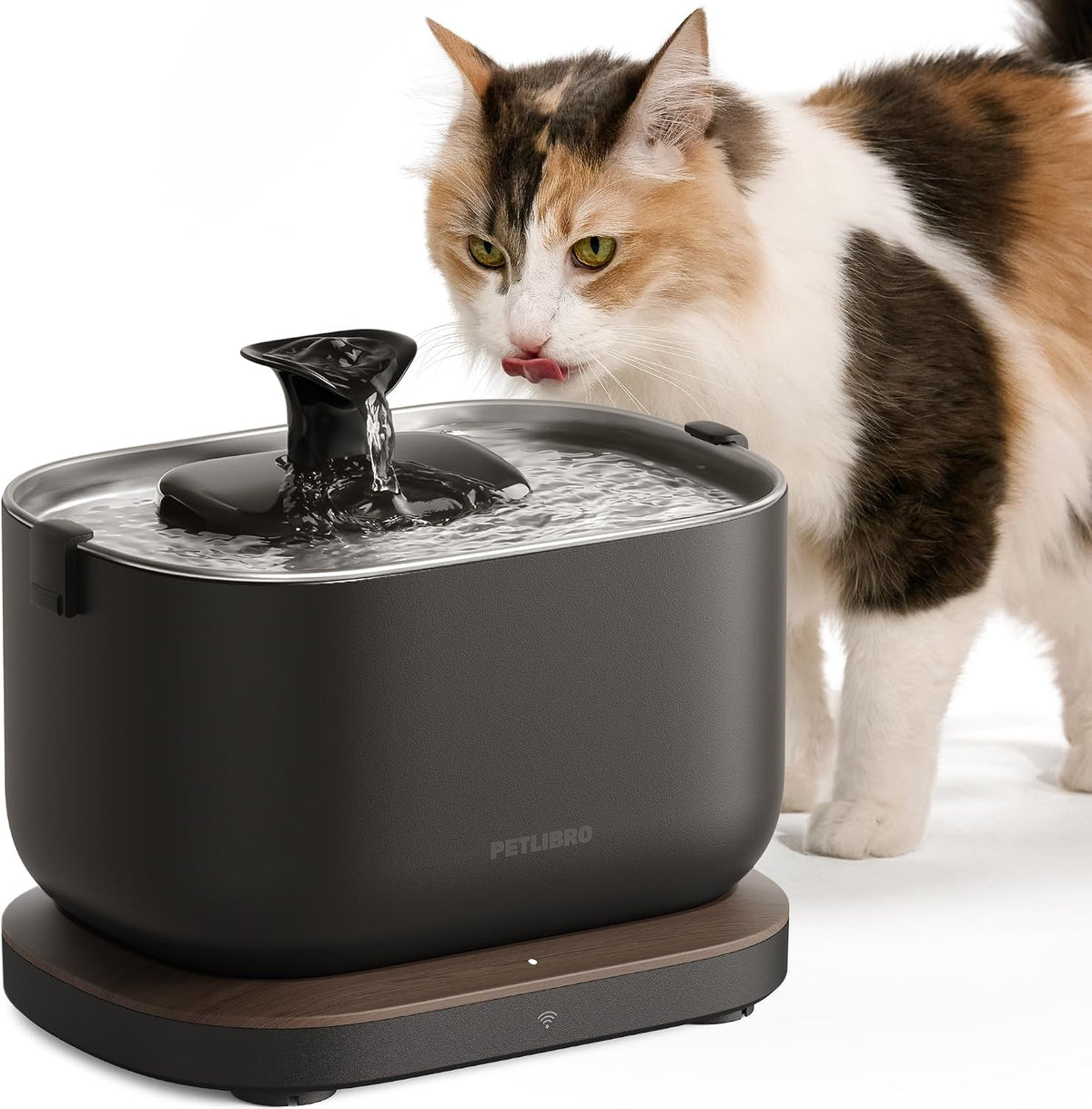 PETLIBRO Fuente de agua para gatos, bandeja de acero inoxidable, monitoreo de aplicaciones, fuente para gatos en interiores, fuente de agua para mascotas Dockstream de 2.5 L/84 onzas, fuentes para