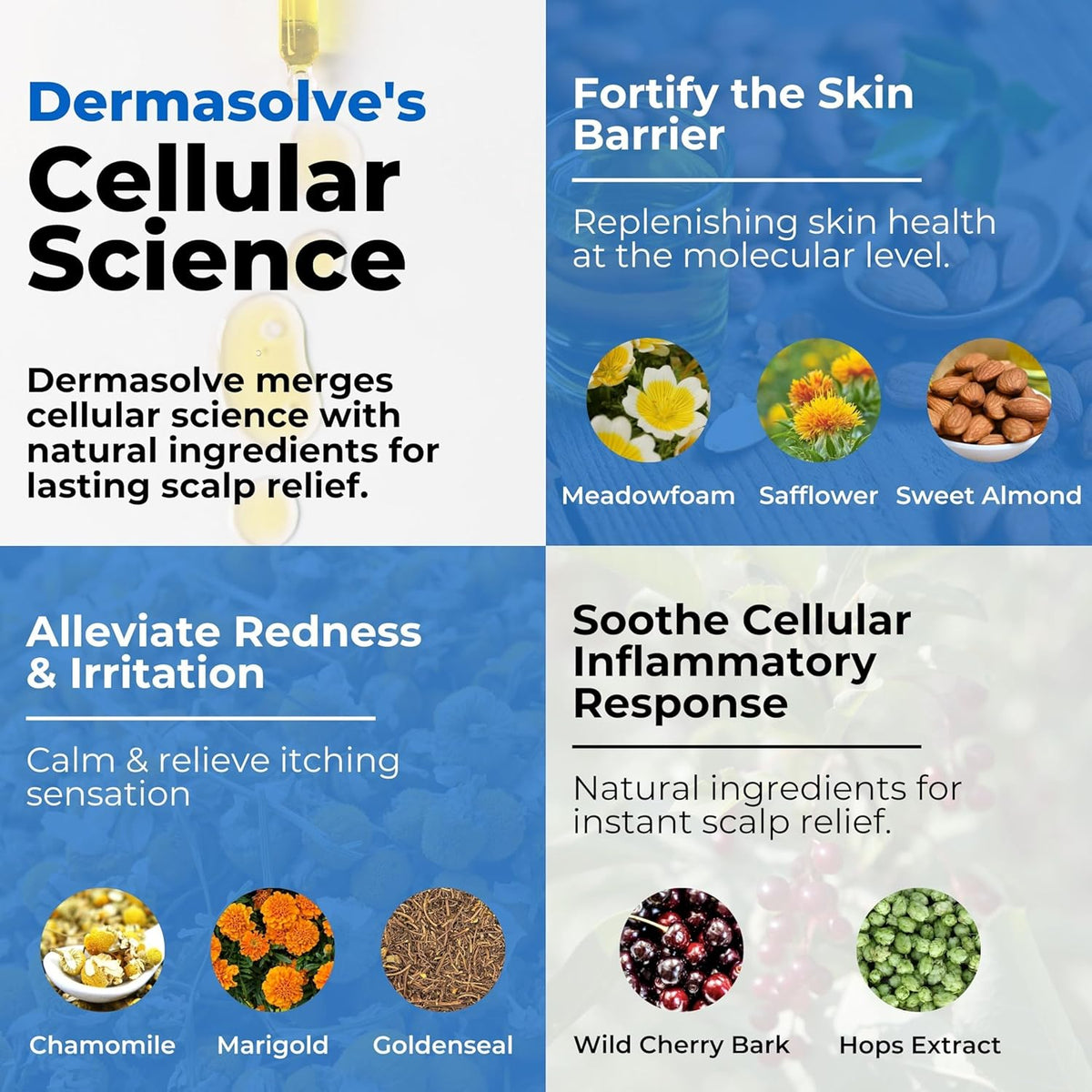 Dermasolve Aceite de psoriasis y caspa, aprobado por dermatólogos p...