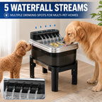 RPZ Fuente de agua elevada para perros de 9L con filtro para perros
