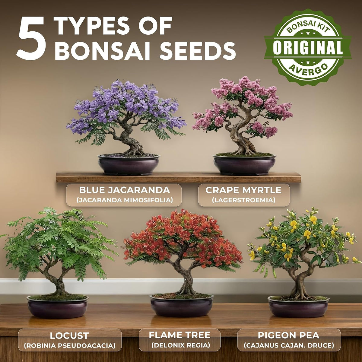 Kit Bonsái Deluxe - Cultivo de 5 árboles bonsái japoneses únicos