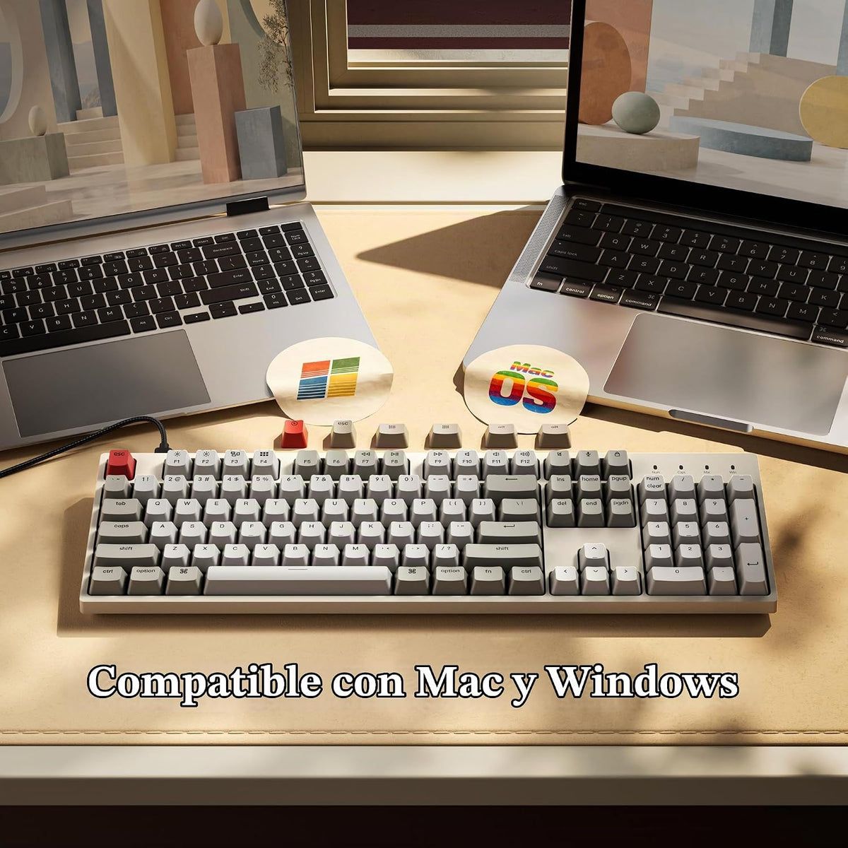 Keychron Teclado mecánico con cable de tamaño completo C2, interruptor