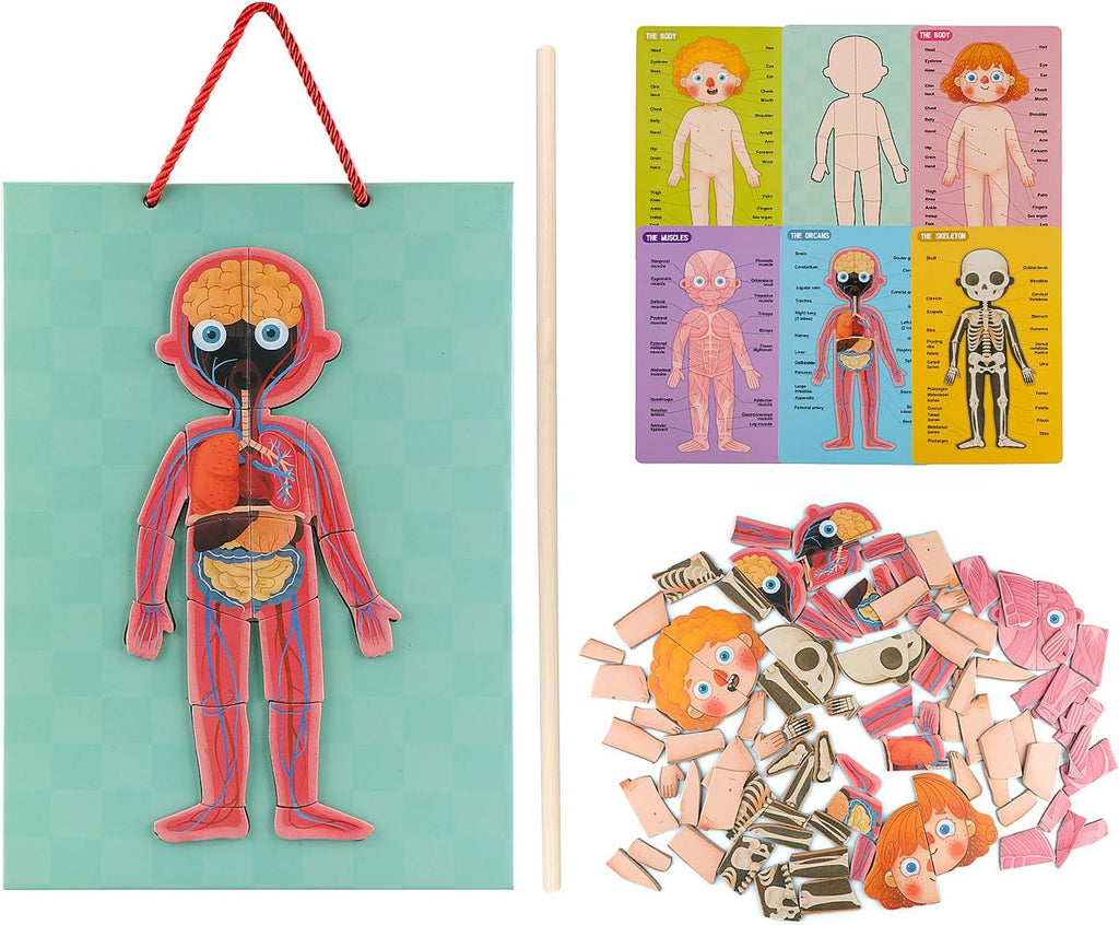 Rompecabezas de cuerpo humano para niños pequeños, 90 piezas