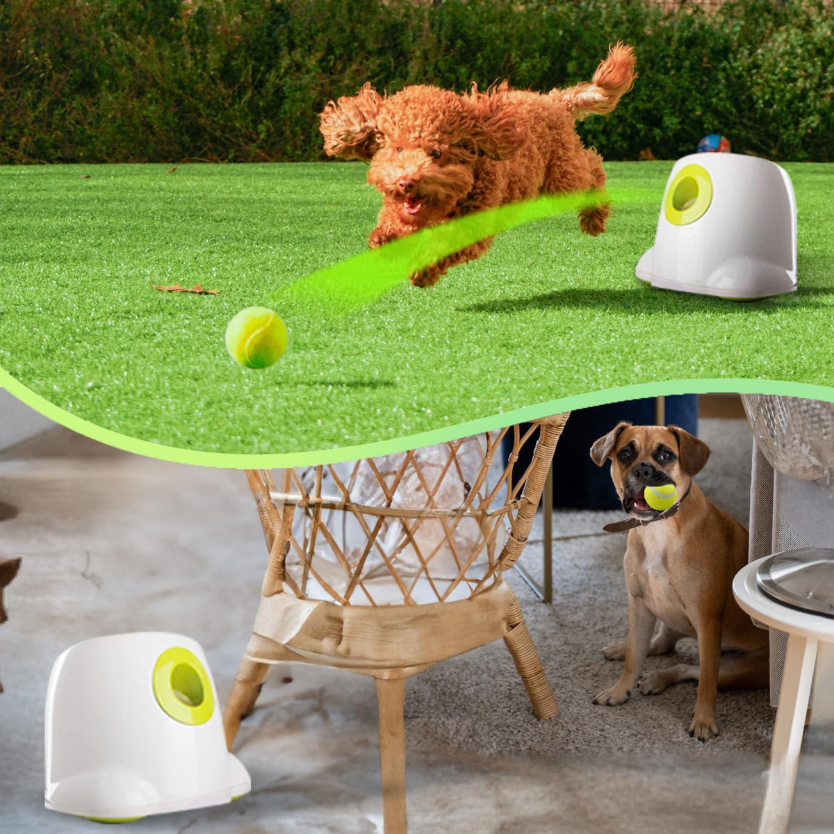 ALL FOR PAWS - Lanzador automático de bolas para perros, juguete interactivo para perros pequeños a medianos, máquina lanzadora de mascotas recargable para jugar en interiores y exteriores