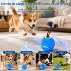 Pelota interactiva inteligente de juguetes para perros para masticadores