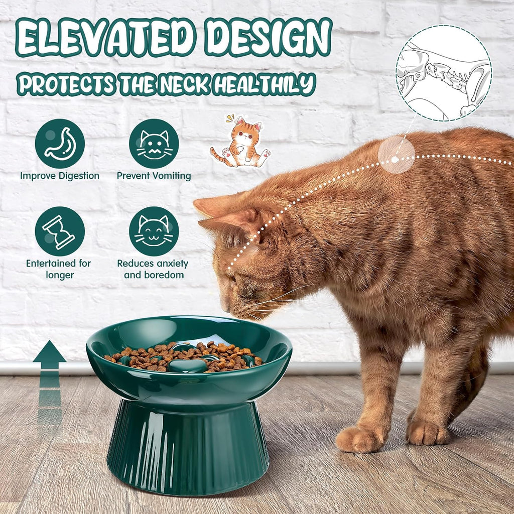 Tioncy - Cuenco elevado de cerámica para gatos (2 unidades), color verde