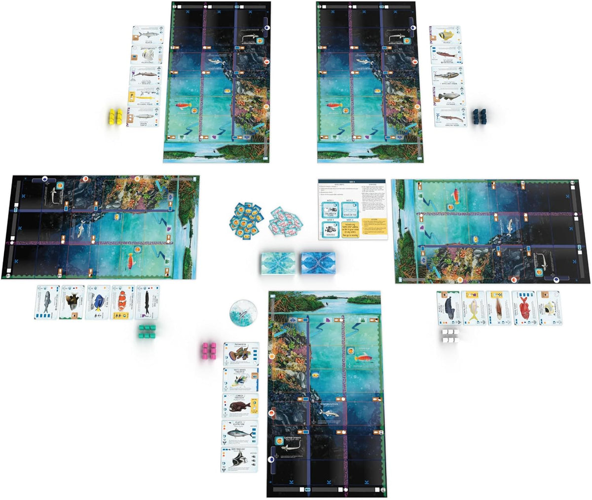 Stonemaier Games: Finspan - Wingspan Game