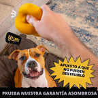 Indestructible Dog Ball - Lifetime Replacement - Durable Dog Toy para Aggressive Chewers - Safe, Non-Toxic Natural Rubber - Chew, Tug & Fetch - Tough, Heavy Duty Chew Toy - 4” (Softball Size)
