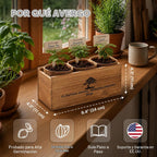 Bonsai Tree Kit Classic - Growing 3 Unique Japanese Bonzai Trees