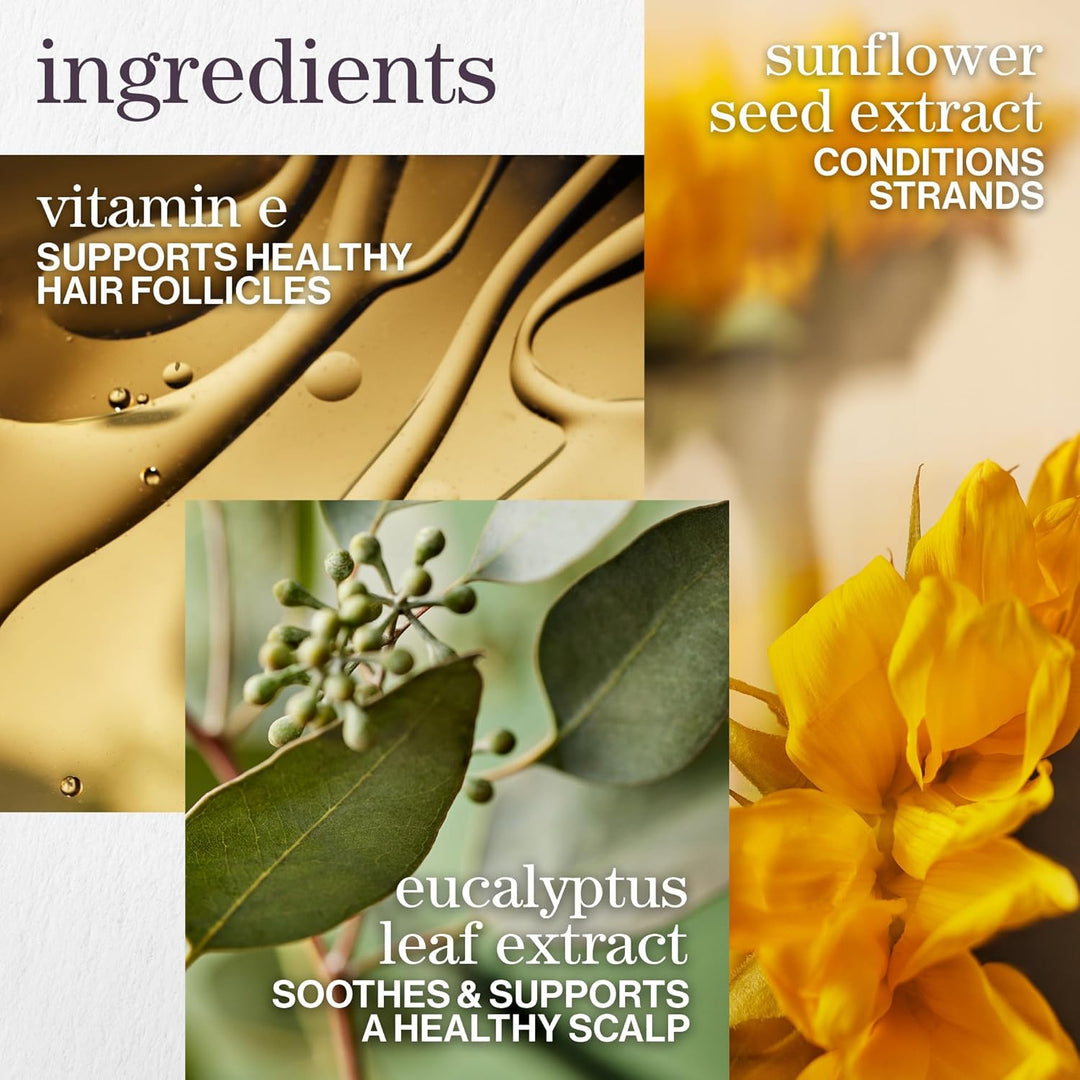 Pureology Champú Pure Volume - Mejora el volumen y el movimiento, c...