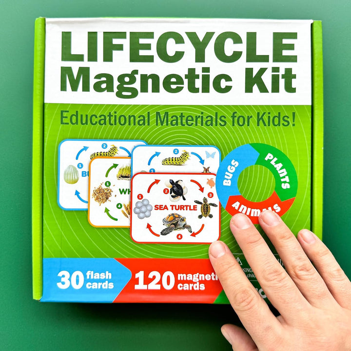 Juguetes de ciclo de vida para niños: tarjetas magnéticas de cienci...