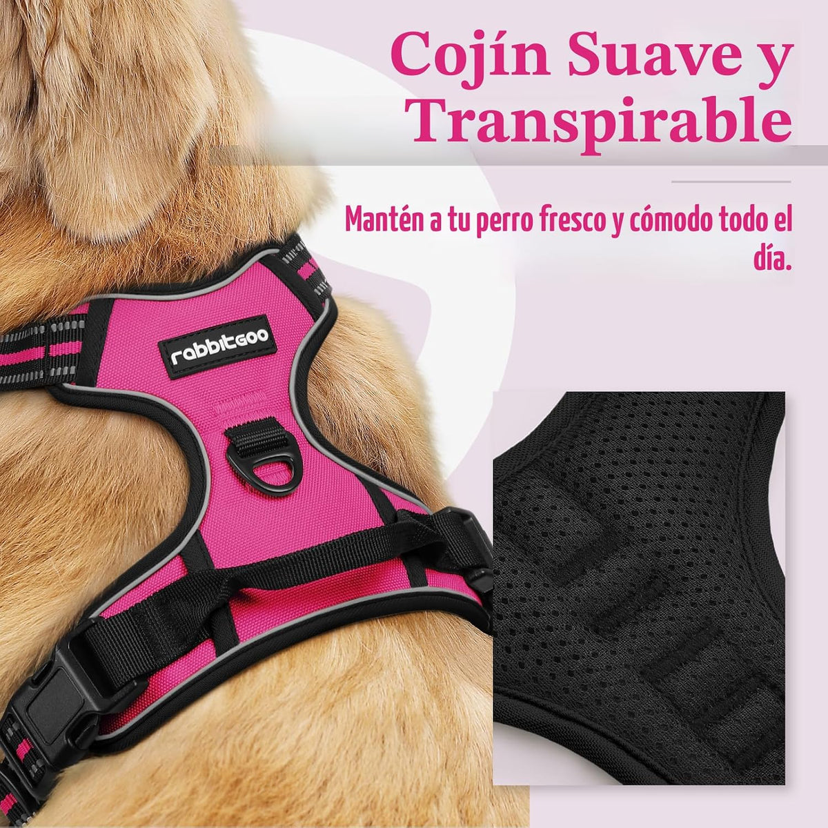 rabbitgoo - Arnés para perro, sin tirones, para perros grandes