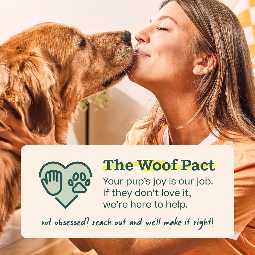 WOOF Power Chewer Pupsicle - Juguete para perros de 25 a 75 libras